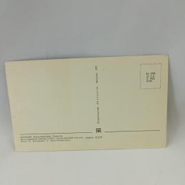 Картинка 2