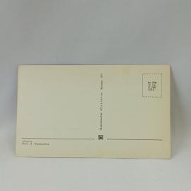 Картинка 2