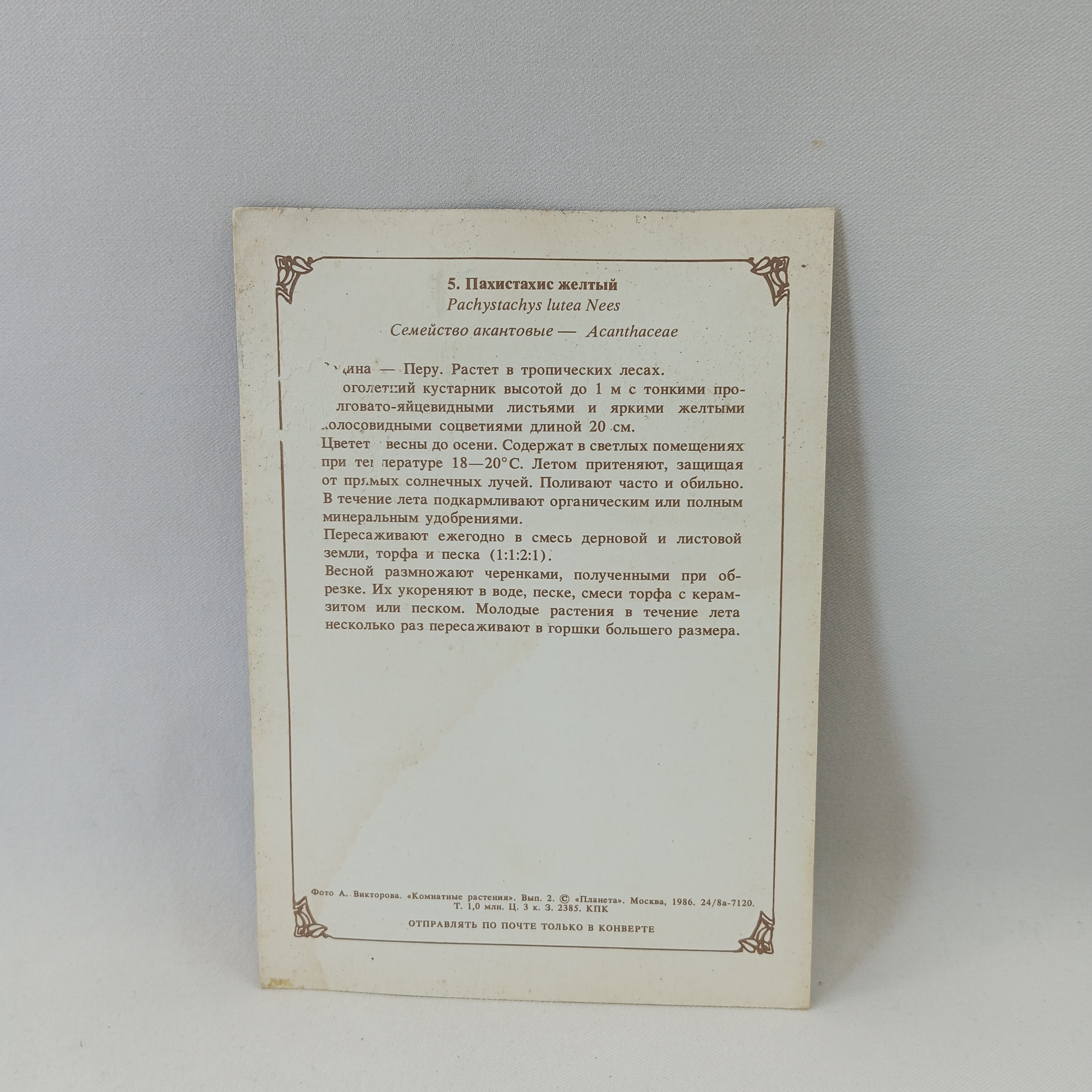 Картинка 2
