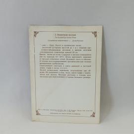 Картинка 2