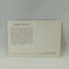 Картинка 2