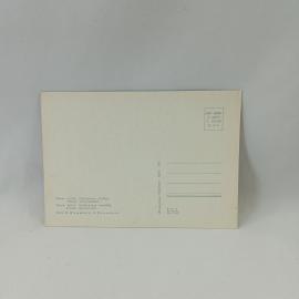 Картинка 2