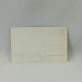 Картинка 2