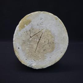 Картинка 6