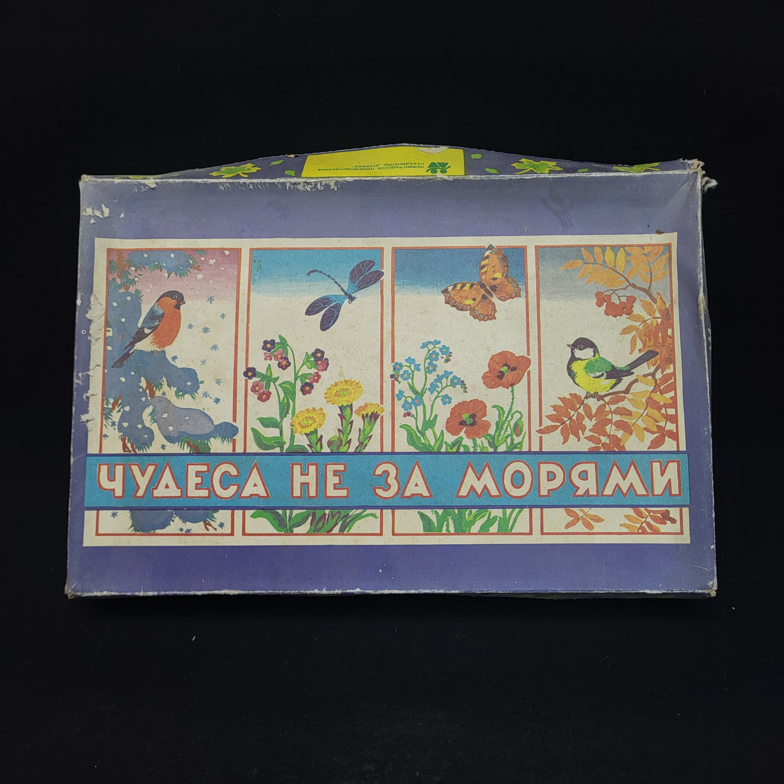 Картинка 2