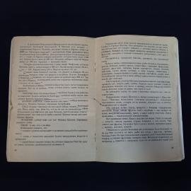 Картинка 5