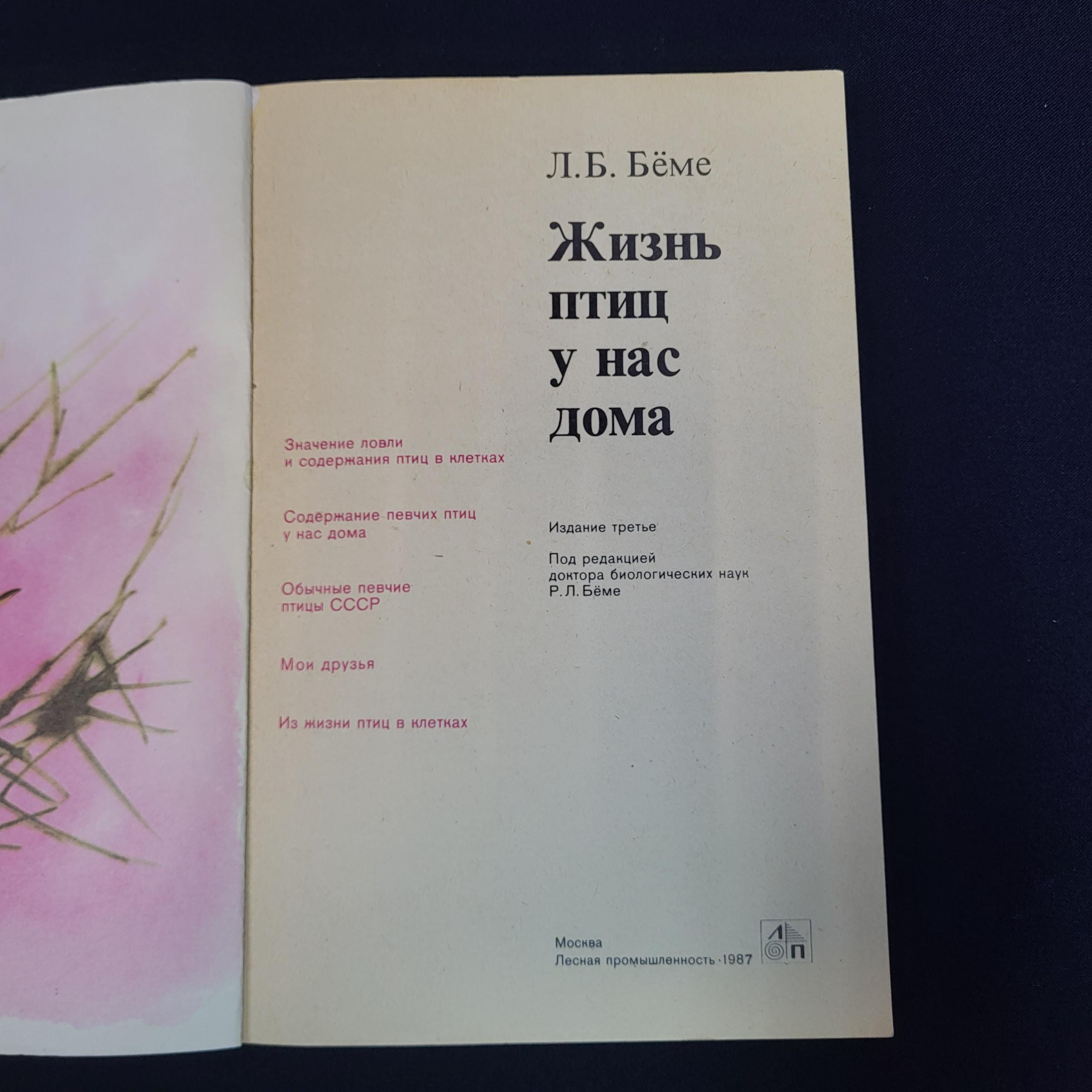 Картинка 4