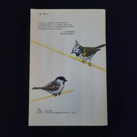 Картинка 3