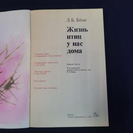 Картинка 4