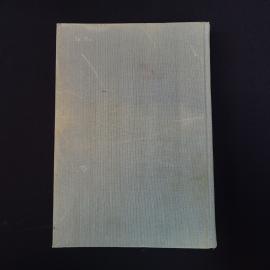 Картинка 3