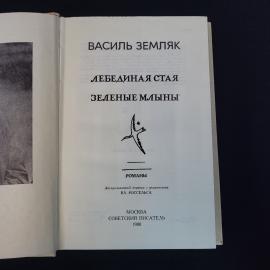 Картинка 4