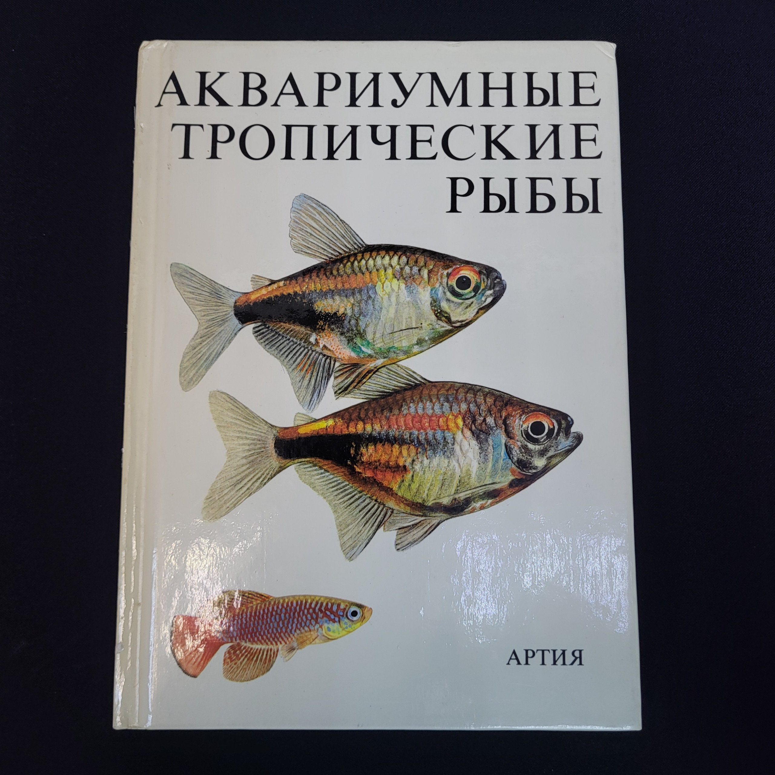 Картинка 1