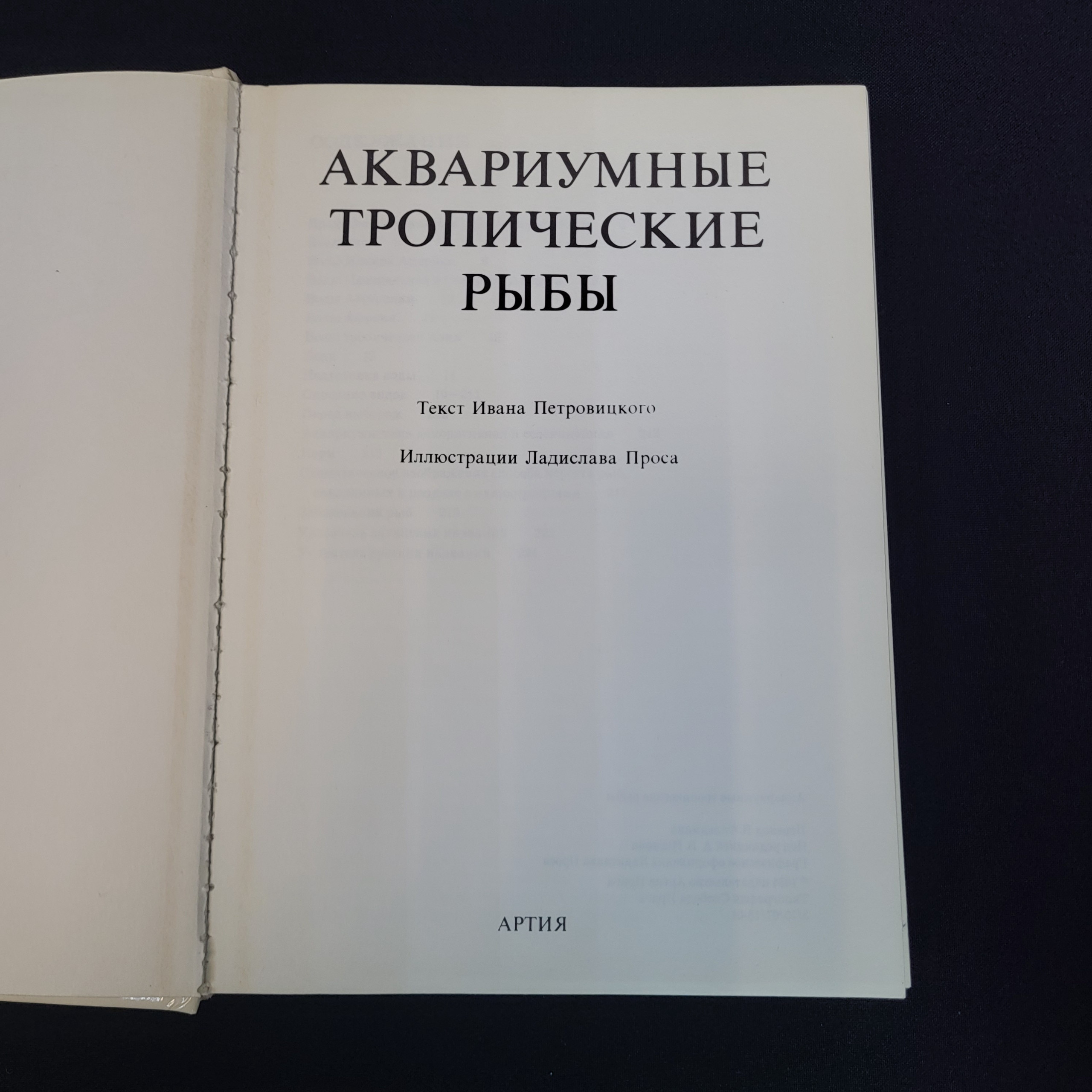 Картинка 4
