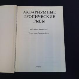 Картинка 4