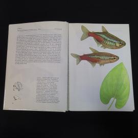 Картинка 6