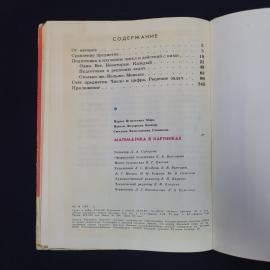 Картинка 5