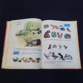 Картинка 6