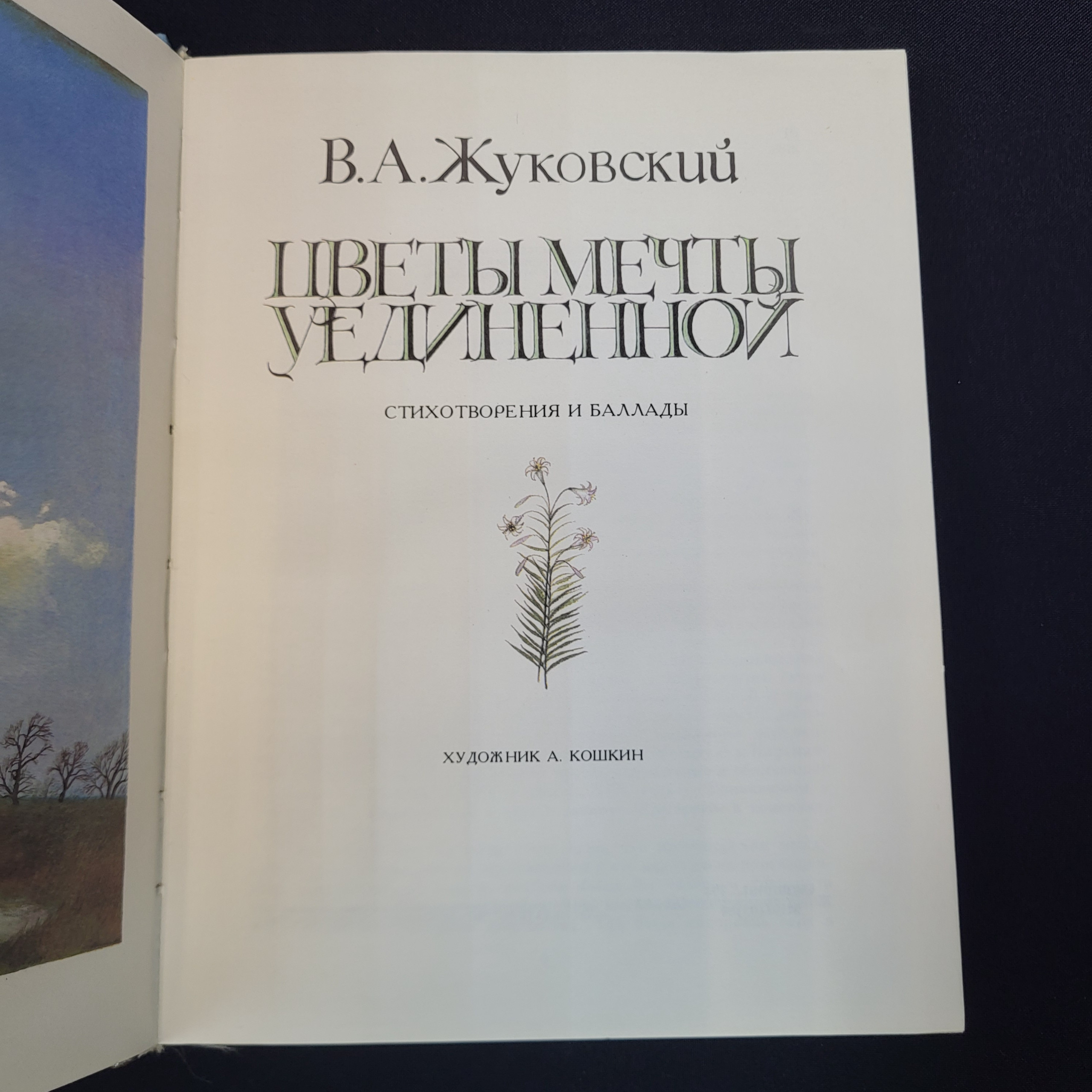 Картинка 4