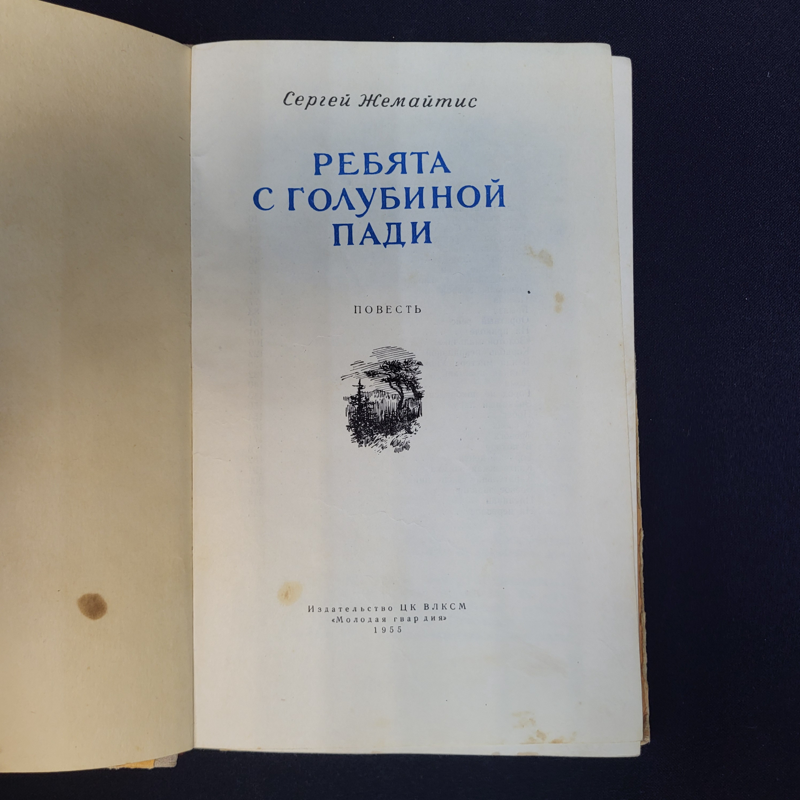 Картинка 4