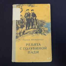 Картинка 1