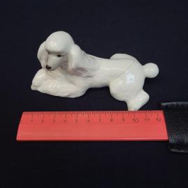 Картинка 7