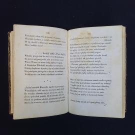 Картинка 6
