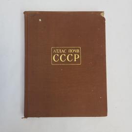 Картинка 1