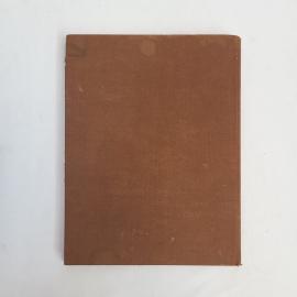 Картинка 3