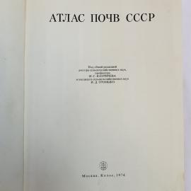 Картинка 4