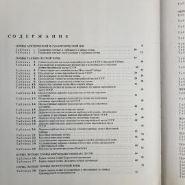 Картинка 5