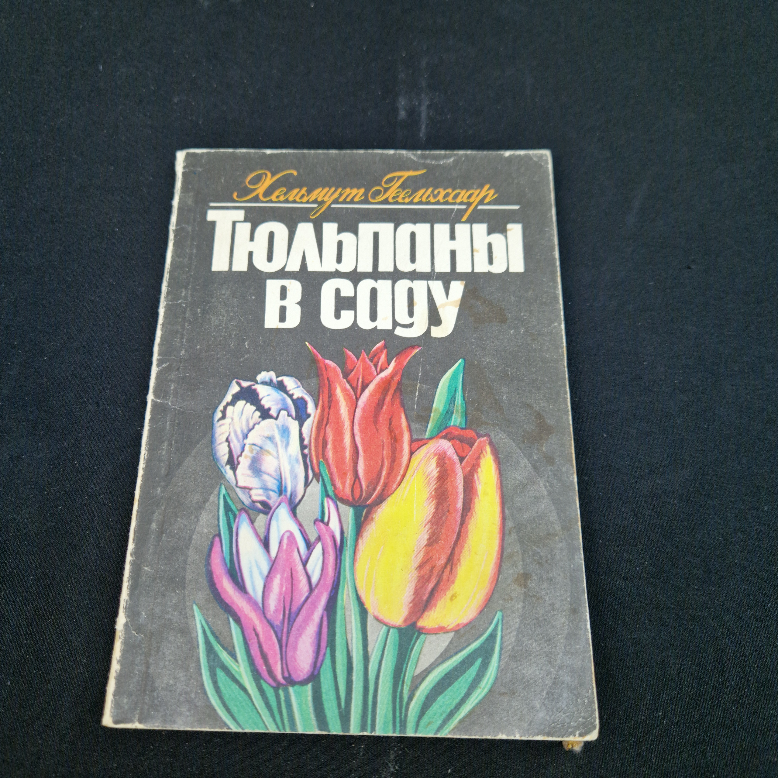 Картинка 1