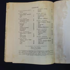 Картинка 5