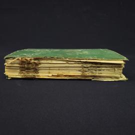 Картинка 3