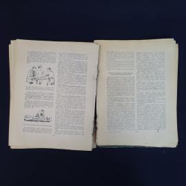 Картинка 6