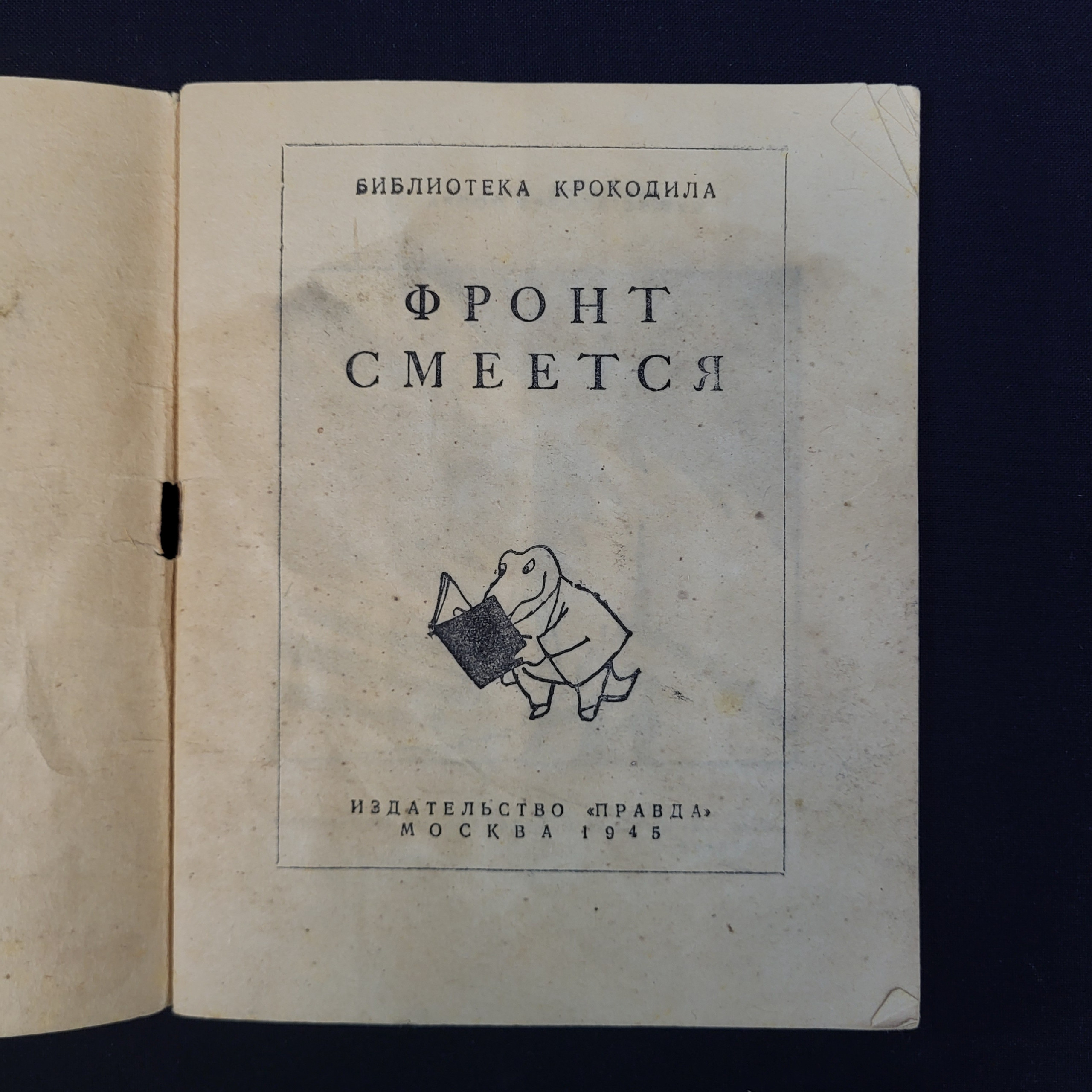 Картинка 3