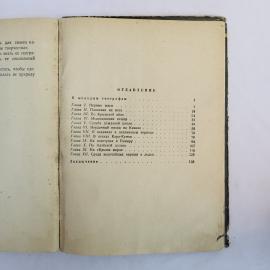 Картинка 4