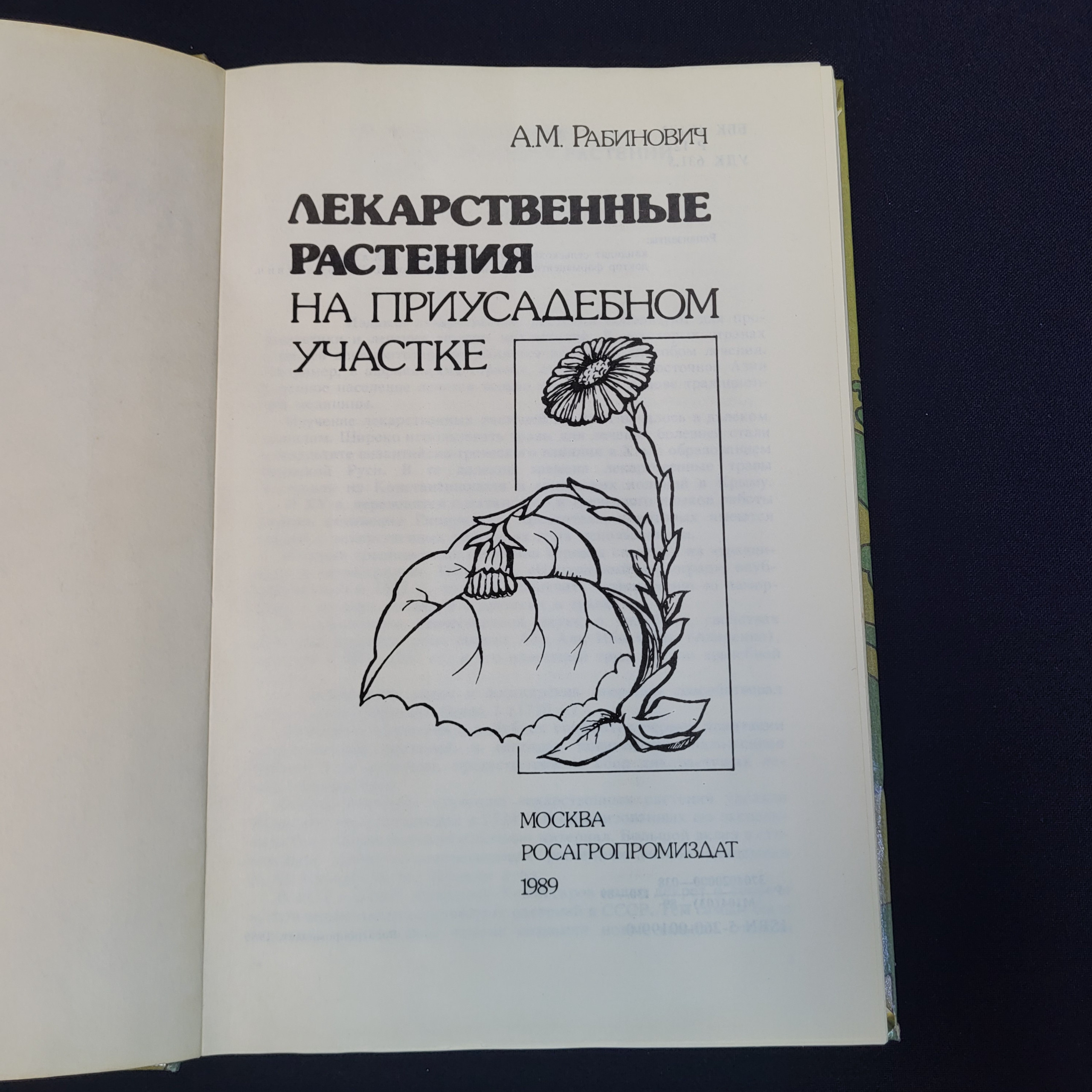 Картинка 4