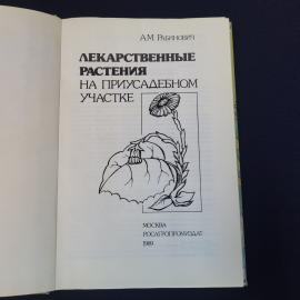 Картинка 4