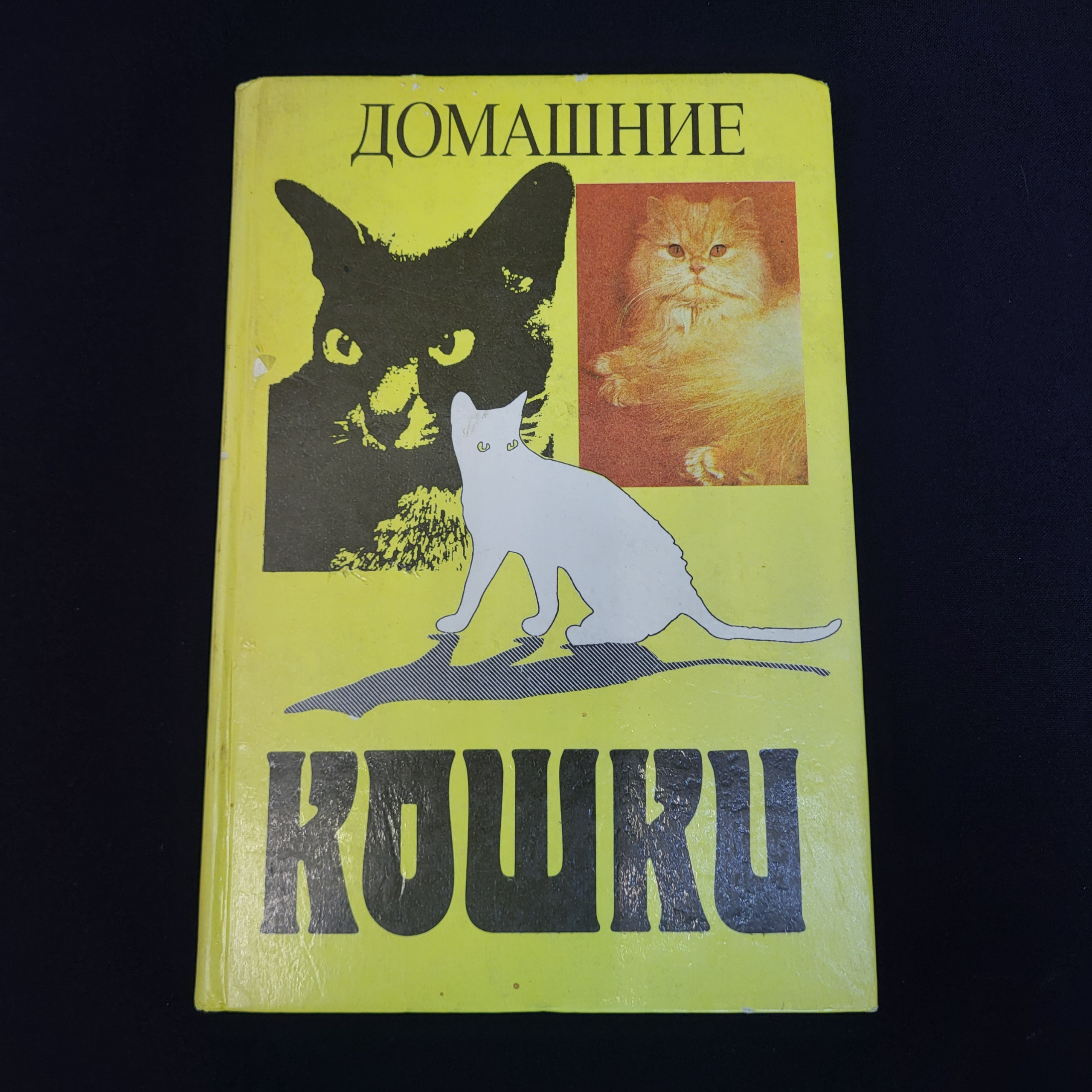 Картинка 1