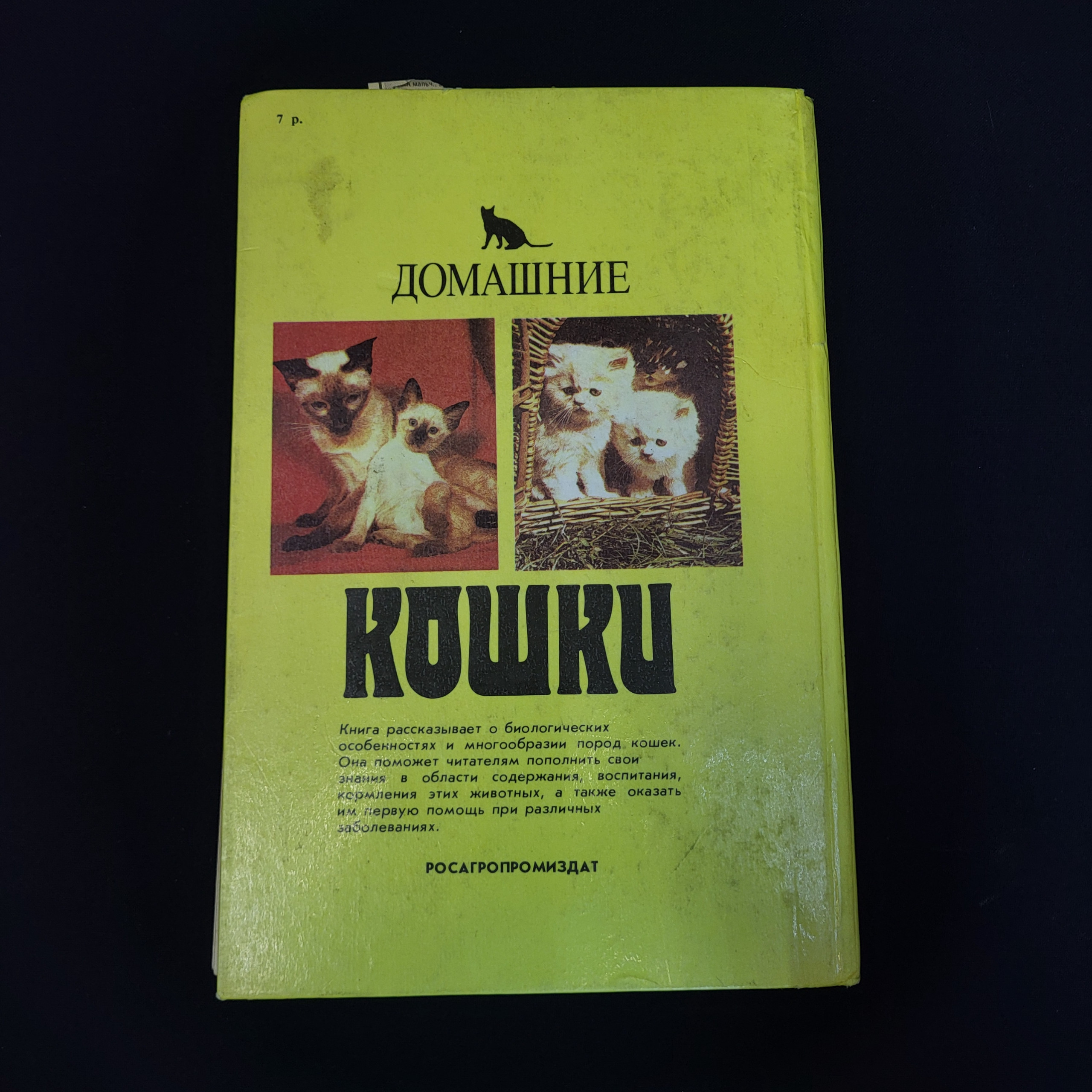 Картинка 3