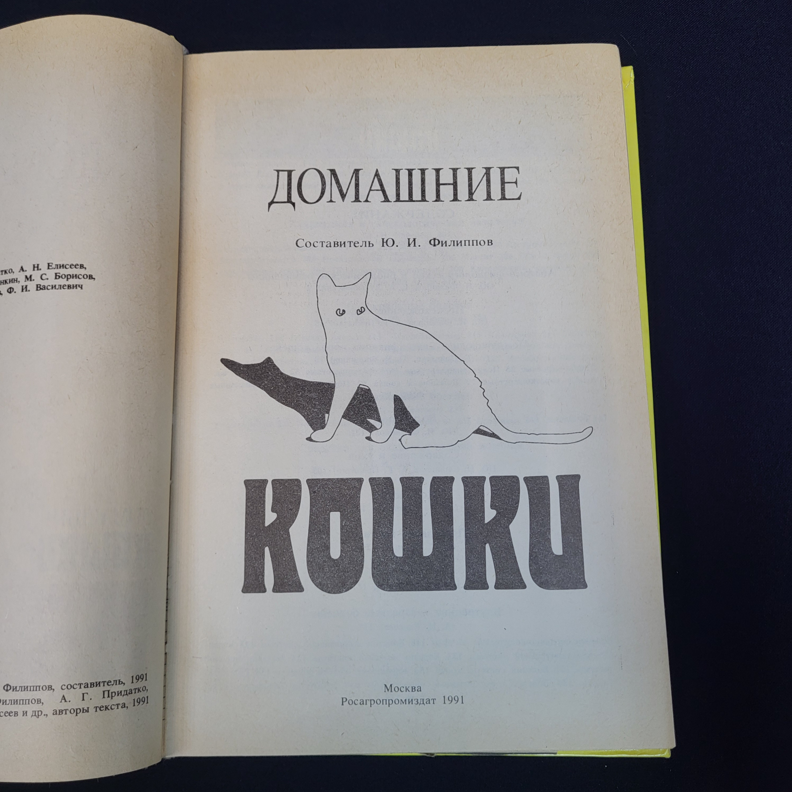 Картинка 4