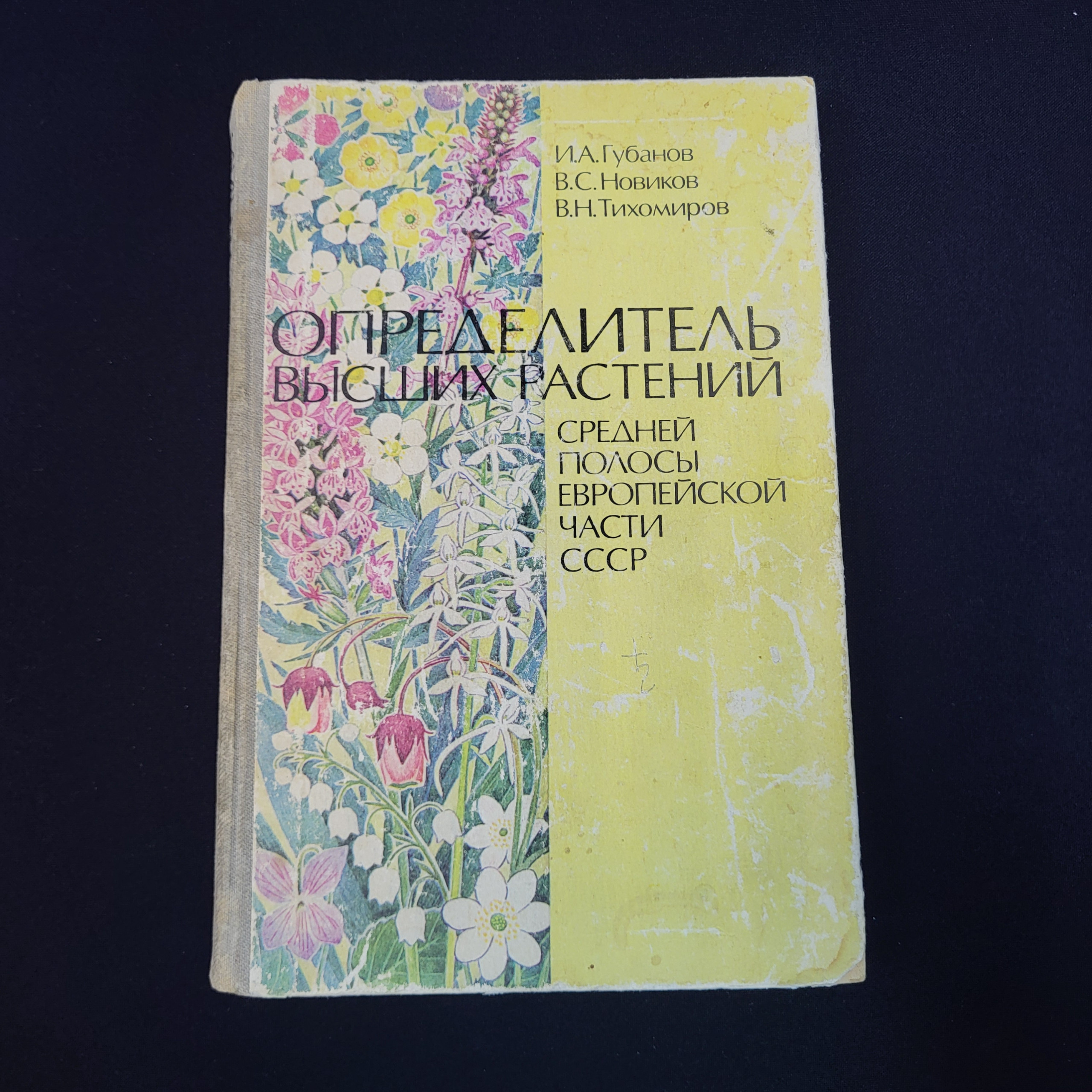 Картинка 1