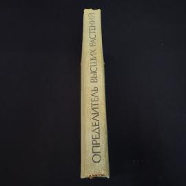 Картинка 2