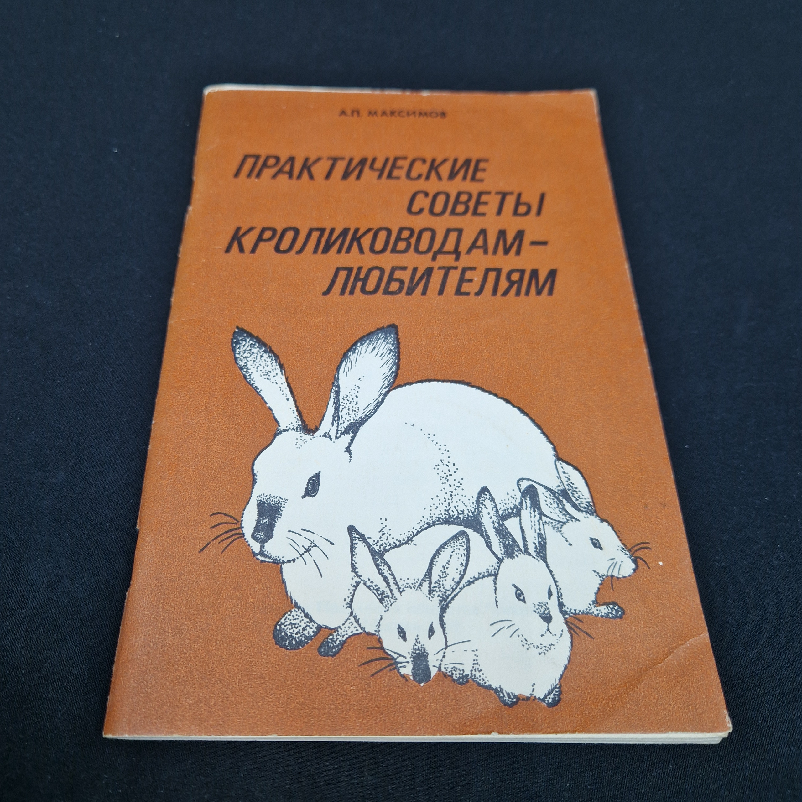 Картинка 1