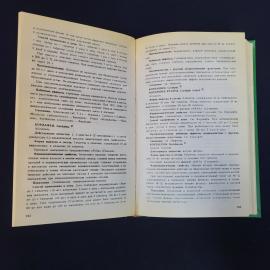 Картинка 6
