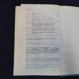 Картинка 5