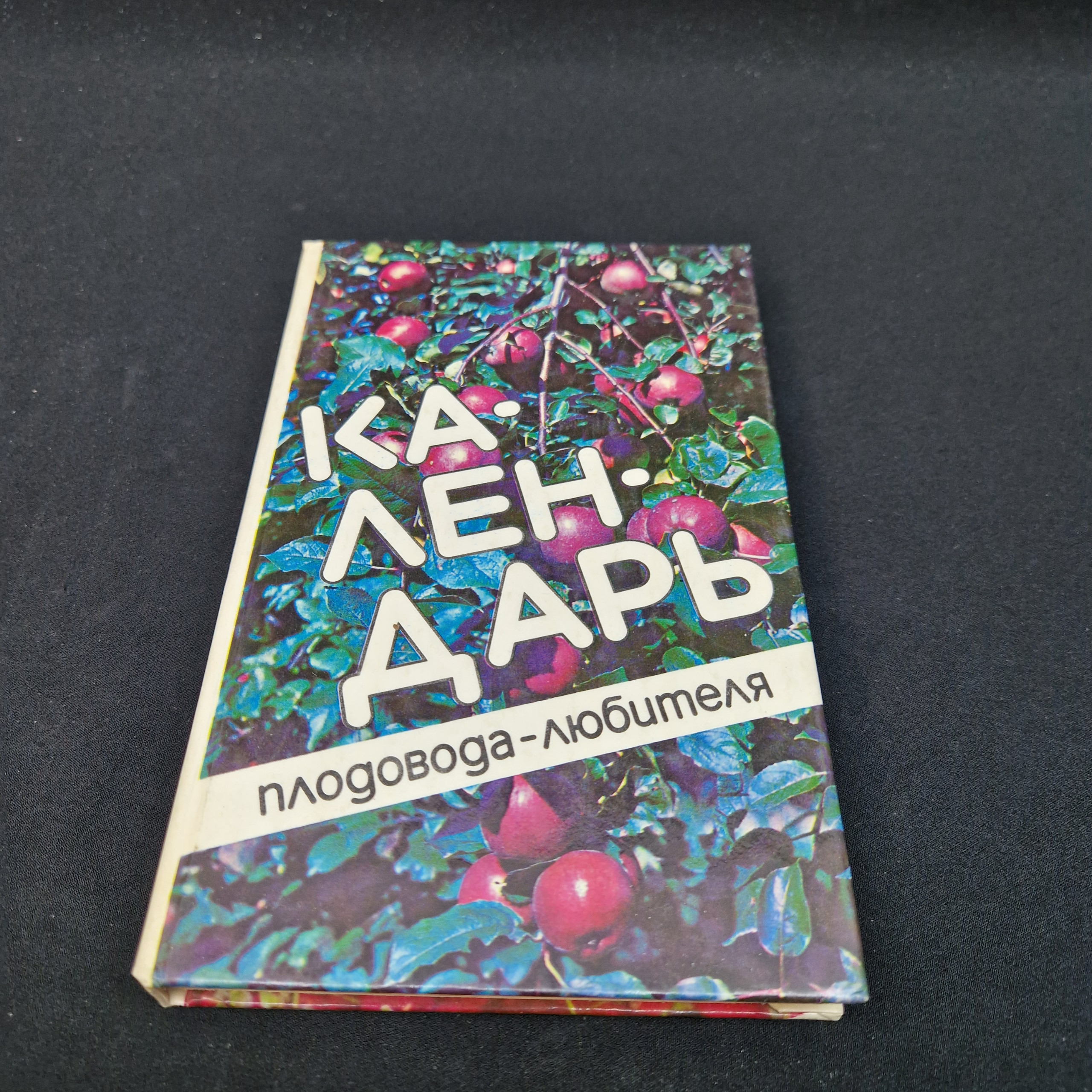 Картинка 1