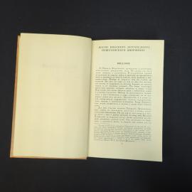 Картинка 6