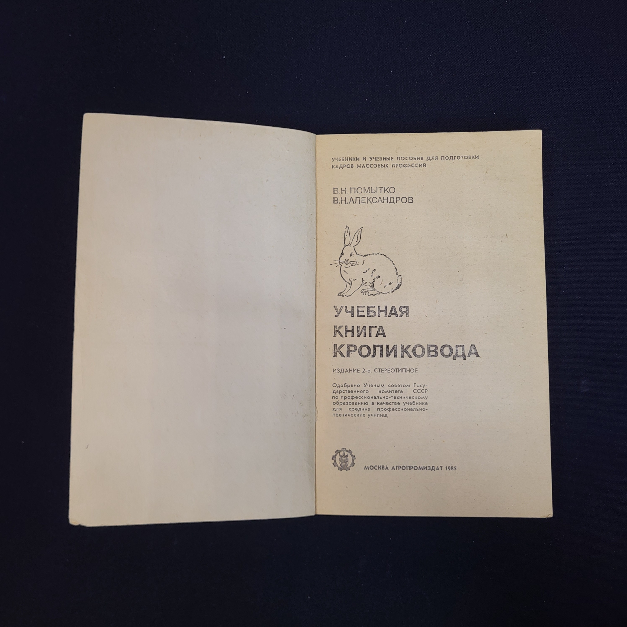 Картинка 4