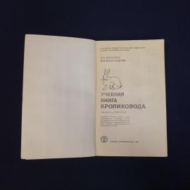 Картинка 4